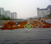 F݄P｛(jng)W(xu)Ժ˹B